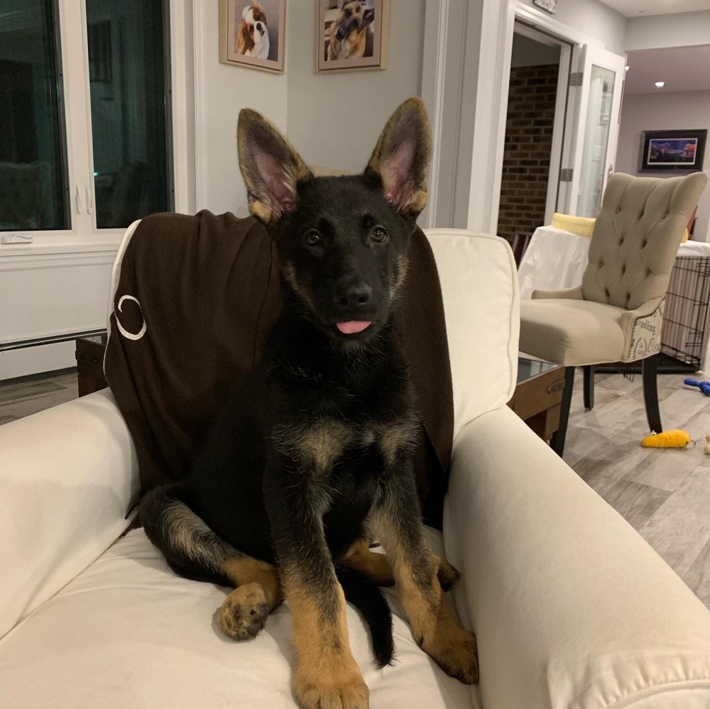 Meet your Posher, Jocelyn